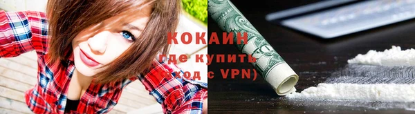 не бодяженный Ельня