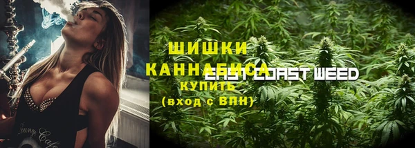 не бодяженный Ельня