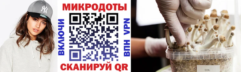 Галлюциногенные грибы ЛСД  где продают   Кадников 